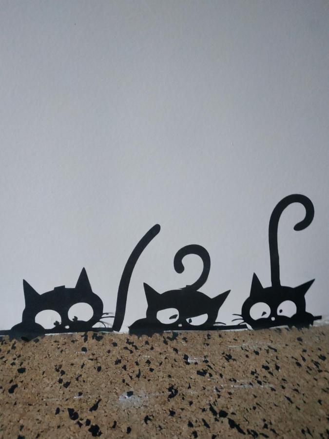 Lucky Cat Hotel Nová Lesná Екстериор снимка