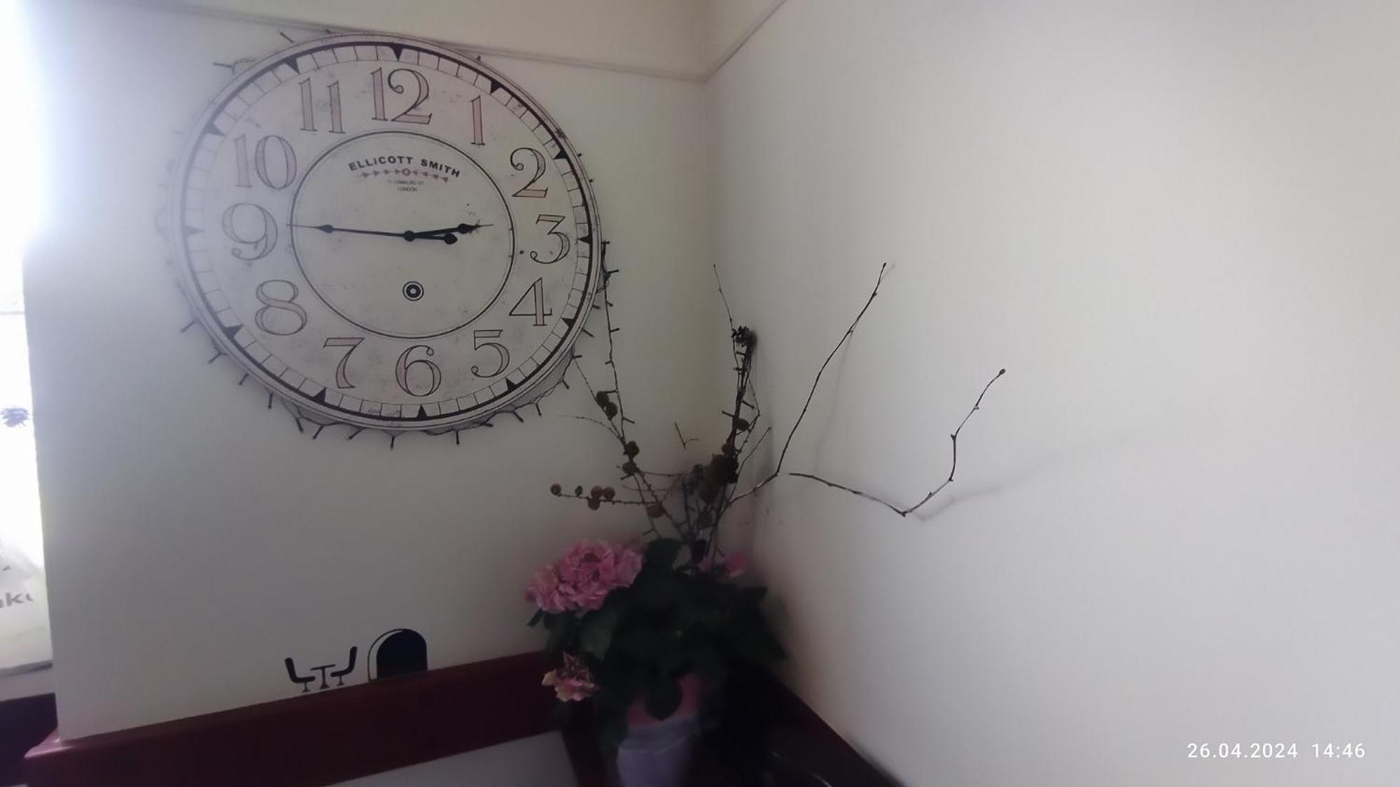 Lucky Cat Hotel Nová Lesná Екстериор снимка