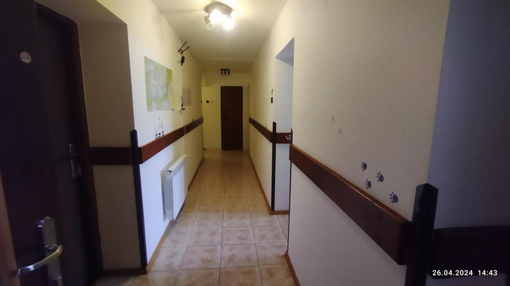 Lucky Cat Hotel Nová Lesná Стая снимка